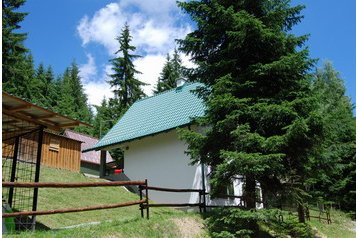 Сербия Privát Bele Vode, Экстерьер